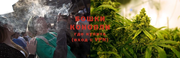 соль ск Заводоуковск
