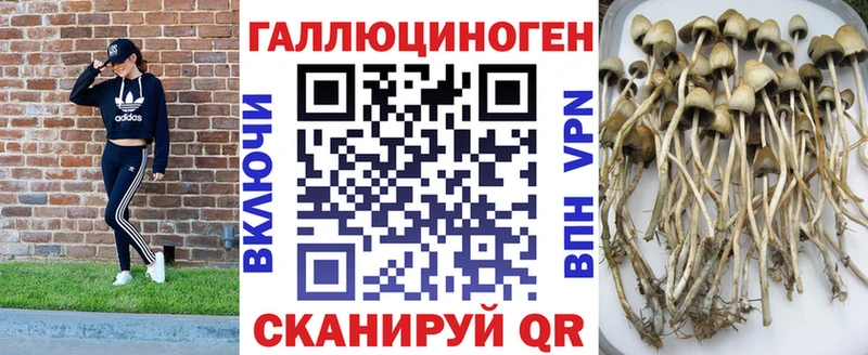 Галлюциногенные грибы Magic Shrooms  Заозёрск 