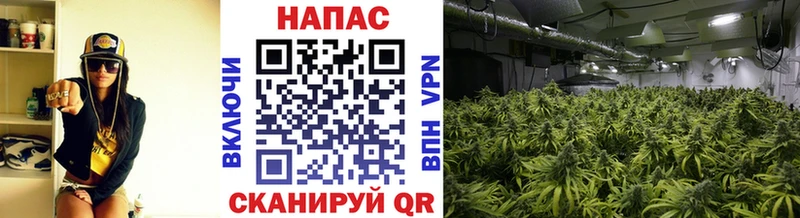 МАРИХУАНА план  Заозёрск 